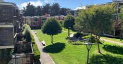 1335 Laguna St #3
