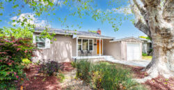 953 Bevilacqua St